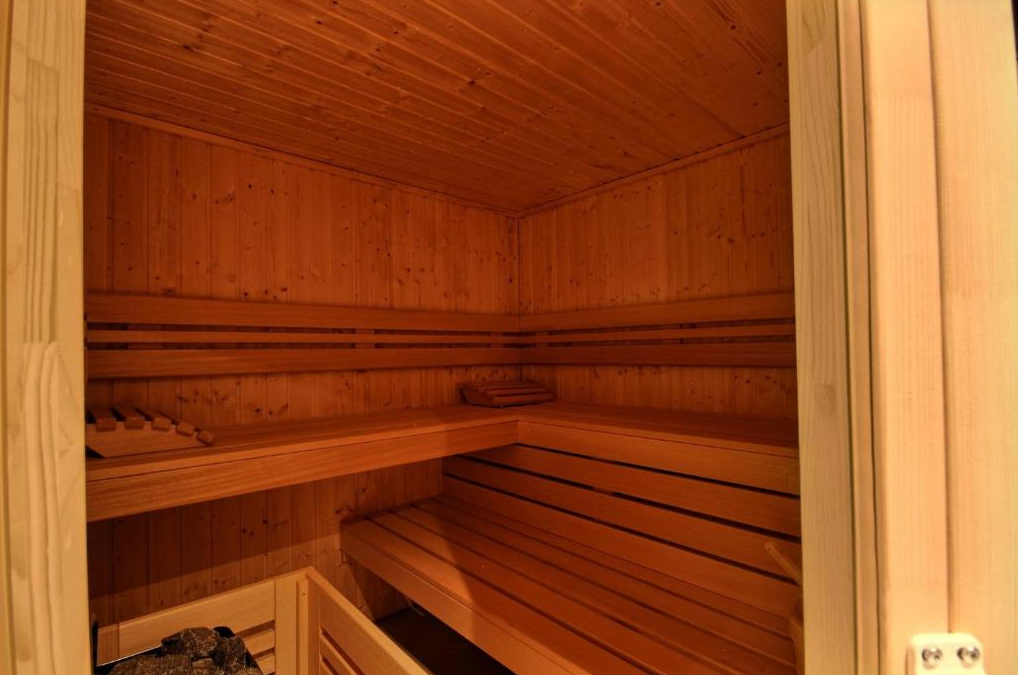 Chalet-Plagne-Soleil-REF74154785