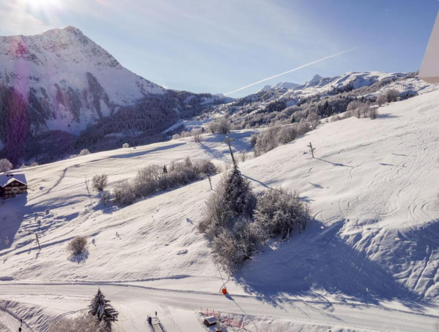 Appartement-LeCorbier-REF7415876