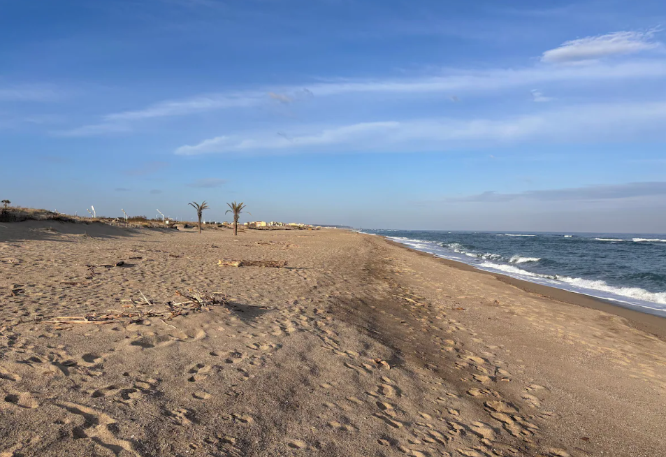 Appartement-Le-Barcares-REF7539514