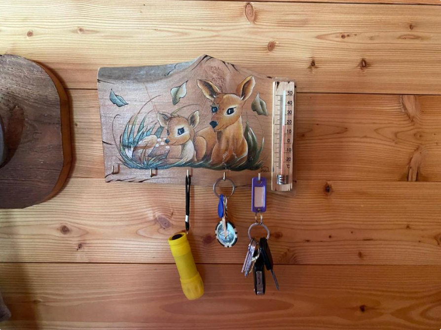 Chalet-Lac-de-lOrceyrette-REF1784563