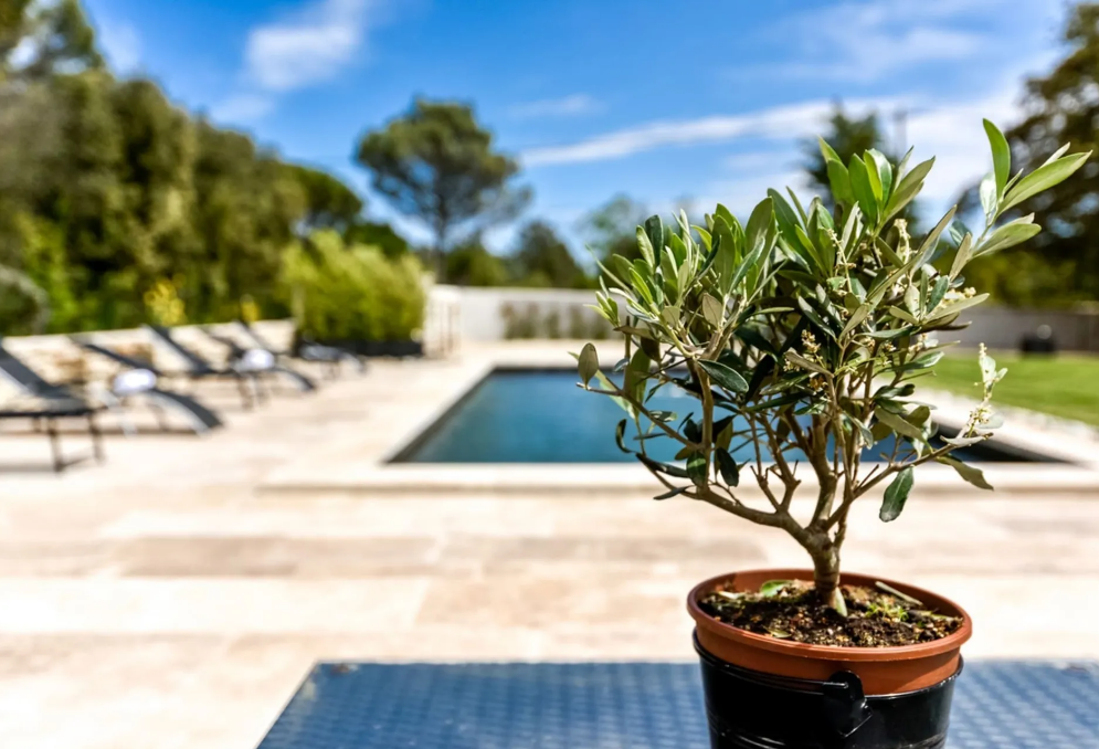 Villa-Lourmarin-REF6741753