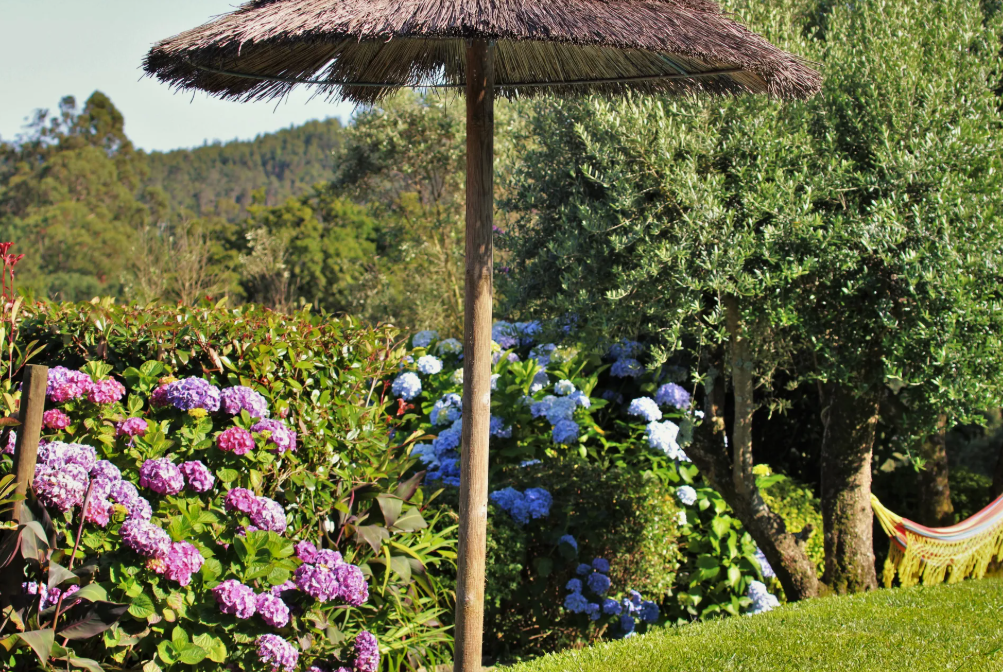 Appartement-Viana-do-Castelo-REF7412586